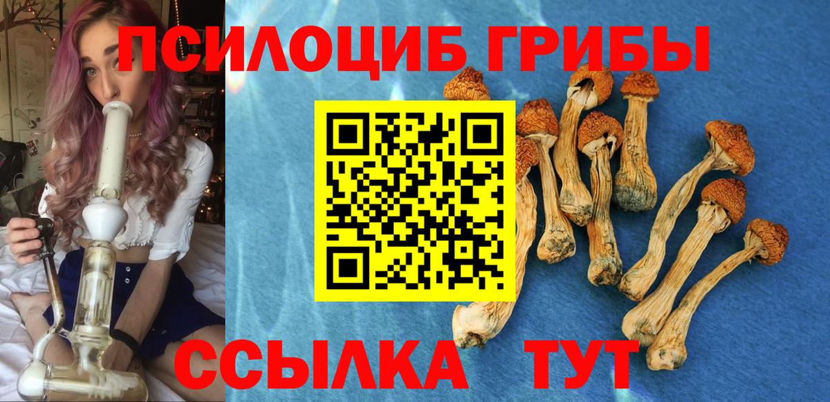 что такое наркотик  Вход с VPN  Галлюциногенные грибы Psilocybine cubensis  Вязники  Галлюциногенные грибы мухоморы 